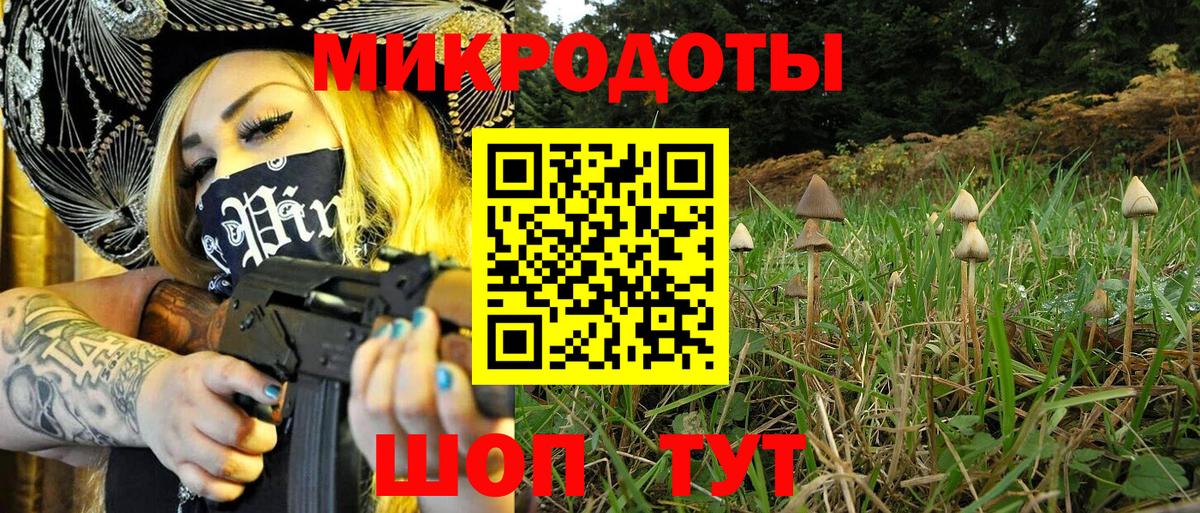 Псилоцибиновые грибы Magic Shrooms Шелехов